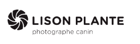Lison Plante Photographe Canin